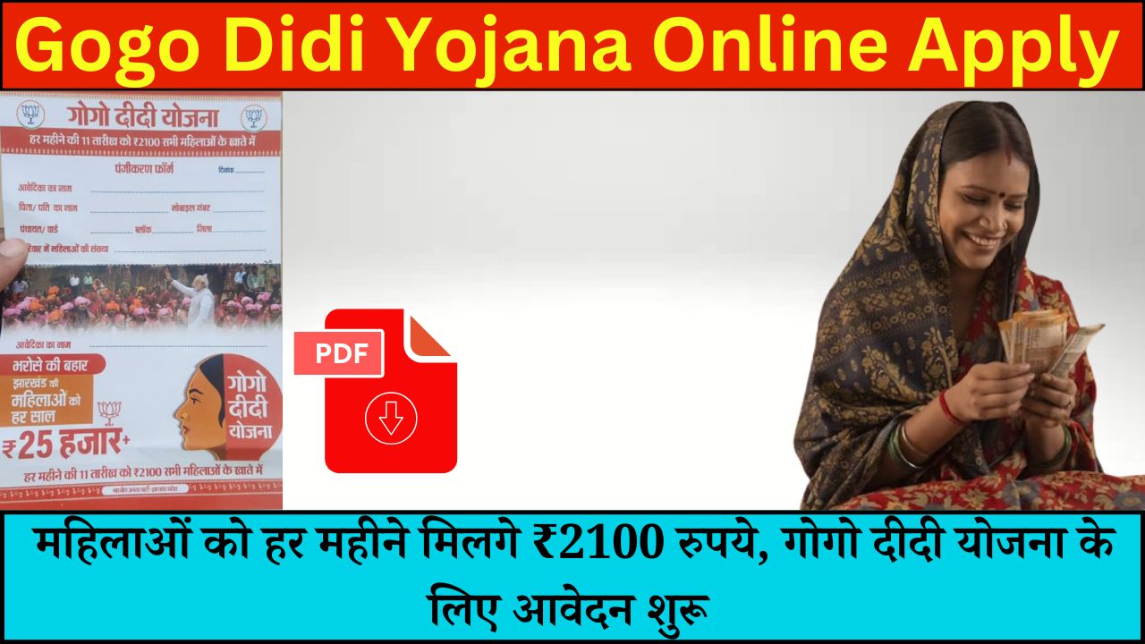 Gogo Didi Yojana